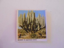 figurina PAESI CONOSCERE IL