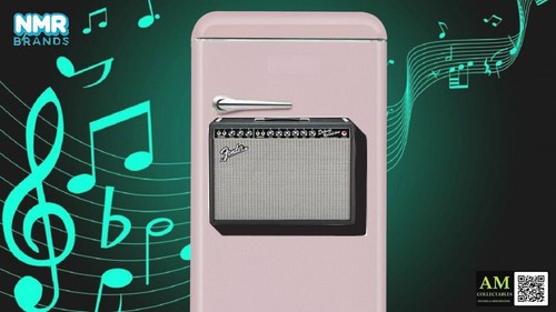 Fender deluxe reverb amp - reverb,