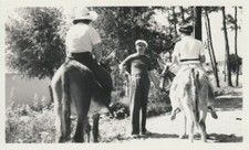 B - Foto Photo Fotografia Anno 1938 - A Cavallo Addestratore 