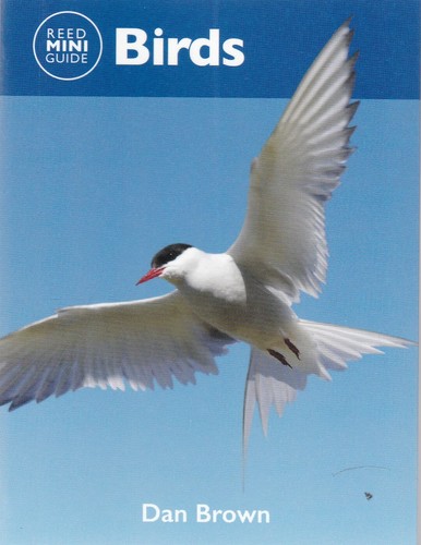 Birds pocket guide britain - birds,