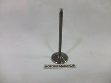 Per  Guzzi Moto 19036183 v65