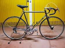 Olmo campagnolo vintage