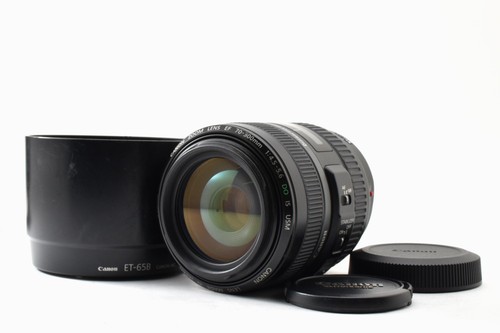 Canon 300 4 - canon, f/4.5-5.6