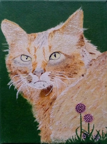 Dipinto gatto olio su - olio, tela
