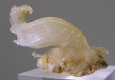Fantastico pezzo raro di Gesso