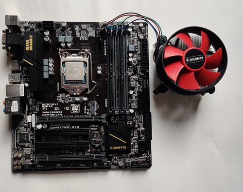 Scheda madre gigabyte - madre,