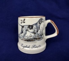 Speckled *English Pointer*