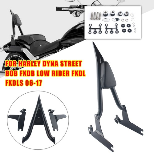 Passeggero sissy bar - passeggero, con