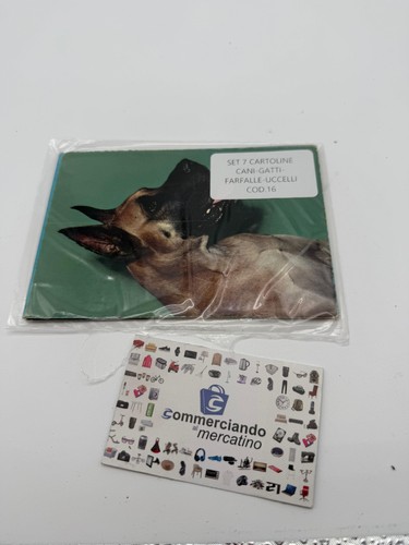Set cartoline cani gatti - set, 7