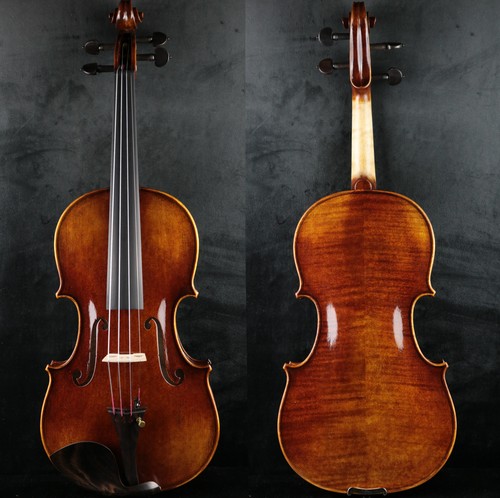 Violino professionale fatto - , a