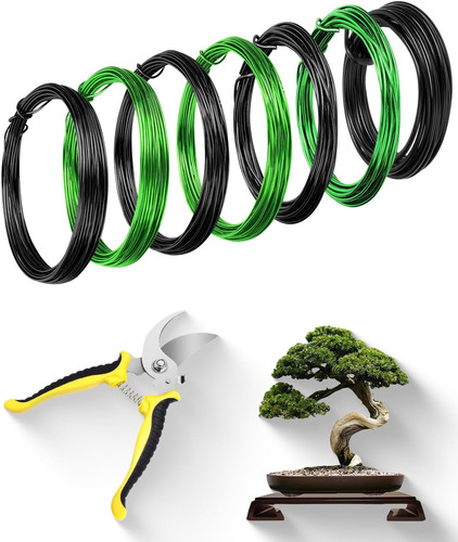 Filo bonsai con forbici - filo,