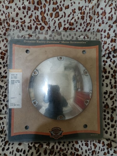 Harley davidson derby - davidson,