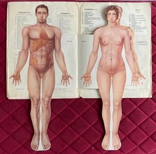 ANATOMIA DEL CORPO UMANO 1937 - Stampato a Parigi in lingua francese