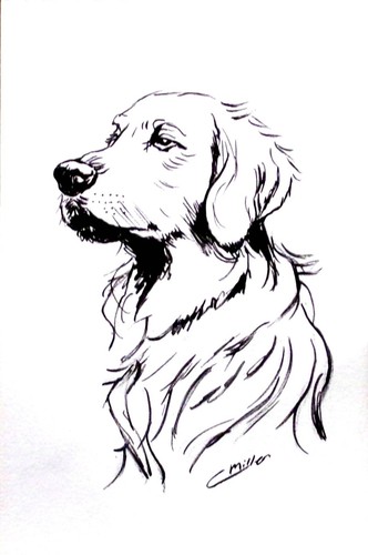 Disegno inchiostro originale - disegno,