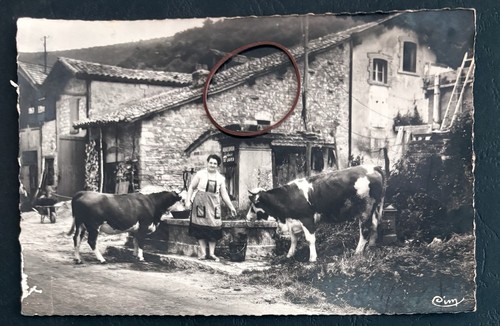 Carte postale cpsm - postale, 01