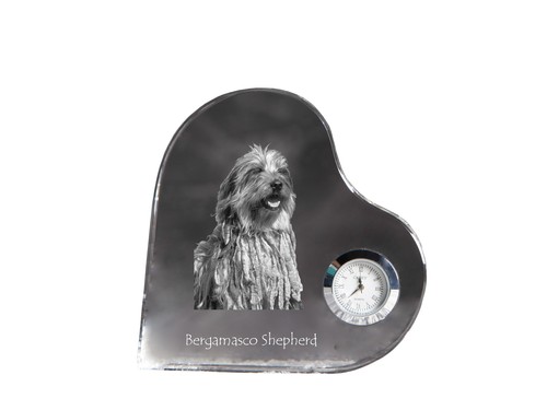 Cane pastore bergamasco - cane,