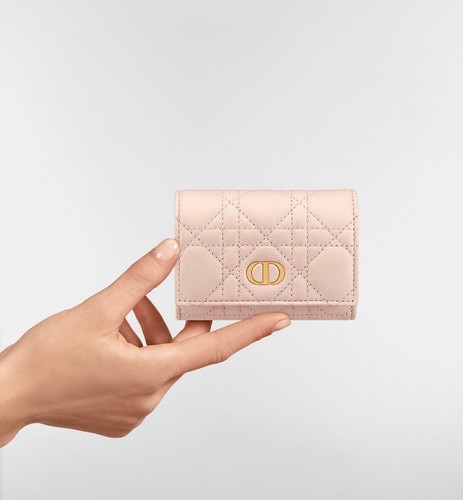 Dior portafoglio glycine - glycine,