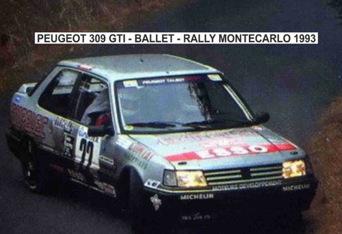 Peugeot 309 gti rally - 1/43,