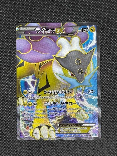 Raikou dark - -,