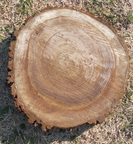 Fetta legno duro - fetta,