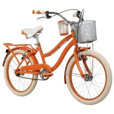 Bicicletta con Cestino