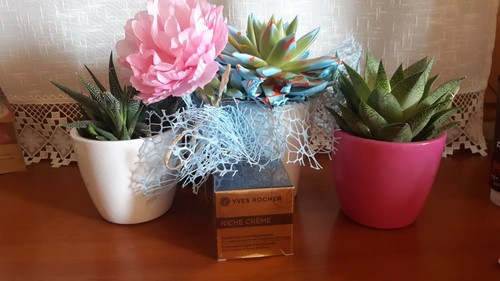 Crema viso riche creme - crema,