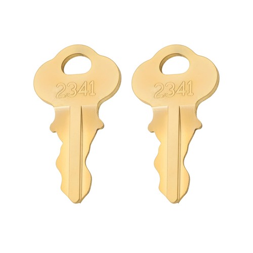 Ecsing chiavi reset per - 2,
