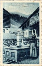 Cartolina CPA Noi siamo in alpe presso ad un boschetto ITALIA (592563)