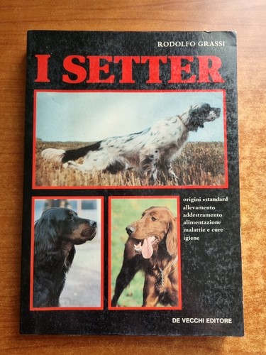 Grassi setter de vecchi - grassi,