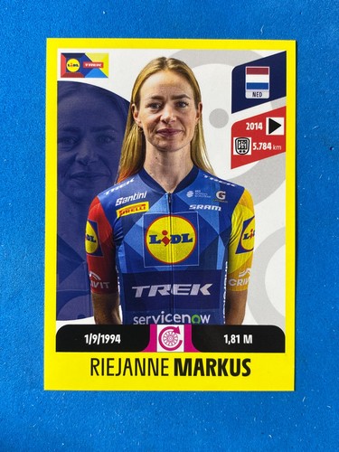 Figurine stickers panini - figurine,