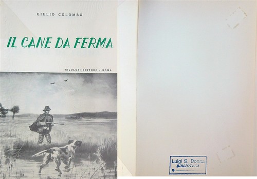 Cane ferma da - ferma, rilegare