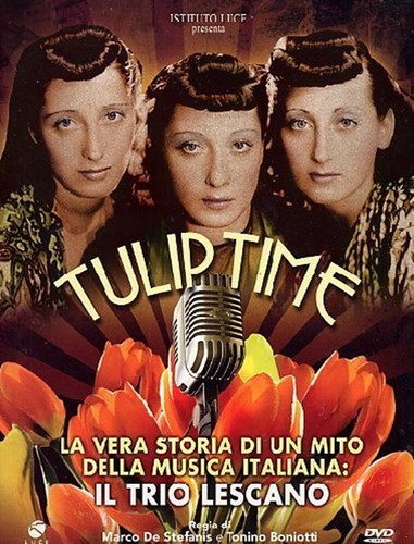 Tulip time trio - tulip,