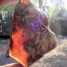 Ambra grezza del Mar Baltico 270 carati possibili inclusioni la più pregiata