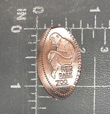 Reid Parco Zoo Cappuccini