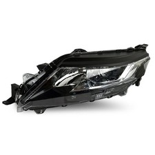 Lancia maiali sinistro