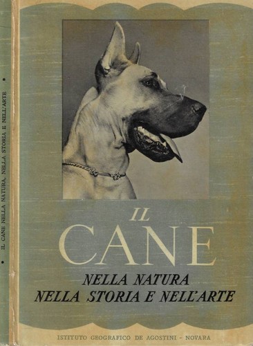 Cane nella natura - il, natura,
