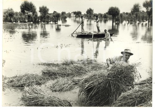 1957 alluvione polesine - polesine, ca'