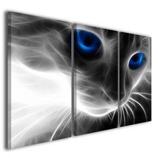 Quadri animali stampe gatto