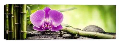 Centro estetico zen quadro - zen,