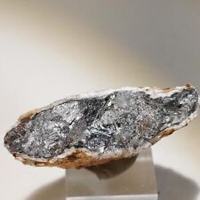 Native antimony (Italy) /