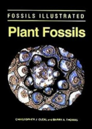 Plant fossils the history - the, of