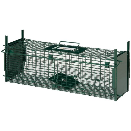 Gabbia trappola per - gabbia,