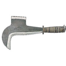 RONCOLA PENNATA TOSCANA +