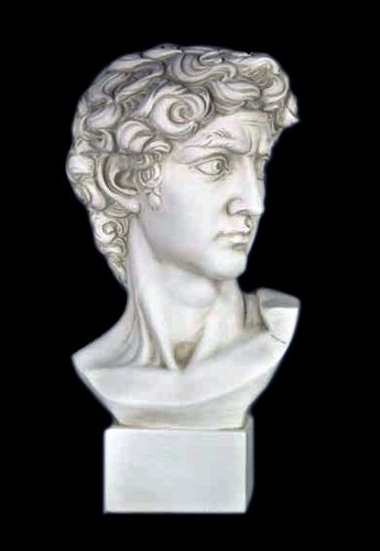 Busto david michelangelo - david,