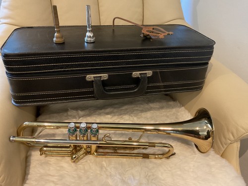 Tromba bufon vintage - tromba,