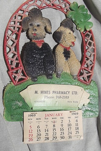 Hines pharmacy kingston nova - m,