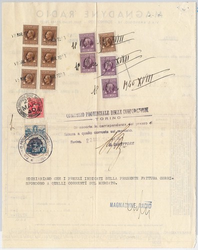 55483 regno storia - ,
