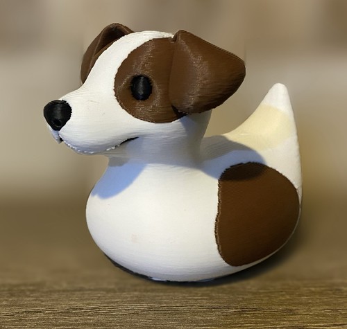 Jack russell duck - jack,
