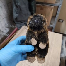 Piccolo Pupazzo di Castoro