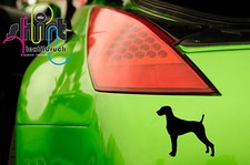 A 1449 - Weimaraner cane cane